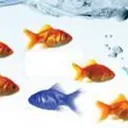 Beaumont Select logo