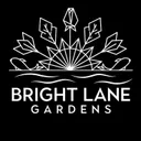BrightLane logo