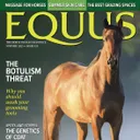 Equus logo