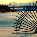 Madison-Davis, LLC logo