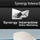 Synergy Interactive logo
