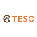TESO LIFE logo