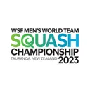 World Team logo