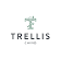 Trellis Chino logo