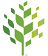 City of Raleigh North Carolina logo