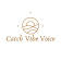 Catch Vibe Voice logo