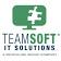TeamSoft logo