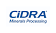 CiDRA Minerals Processing Inc. logo