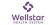 Wellstar Health System logo