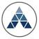 Advantage Solutions logo
