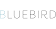 The Bluebird Group logo