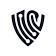 Gray Swan AI logo