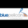 Blue Pelican Consulting Limited logo