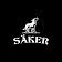 Säker logo