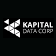 Kapital Data logo