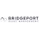 Bridgeport Asset Management Inc. logo