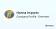 Hanna Imports logo