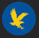 Embry-Riddle Aeronautical University logo