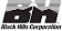 Black Hills Corporation logo