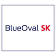 BlueOval SK, LLC logo