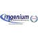 Ingenium Professional Services logo