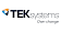 TEKsystems logo