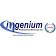 Ingenium Professional Services Inc logo