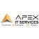 Apex IT Services logo