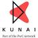 Kunai, part of the PwC Network logo