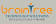 Braintree Technology Solutions logo