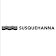 Susquehanna International Group logo