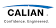 Calian Group logo