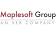Maplesoft Group, an SEB Company logo