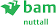 BAM Nuttall logo