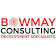 Bowmay Consulting logo