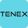 TENEX.AI logo